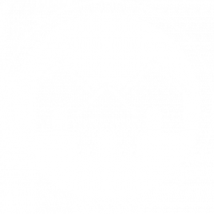 Comm_Choices-ICONS-3_housing-inverse-a (Lrg-white)