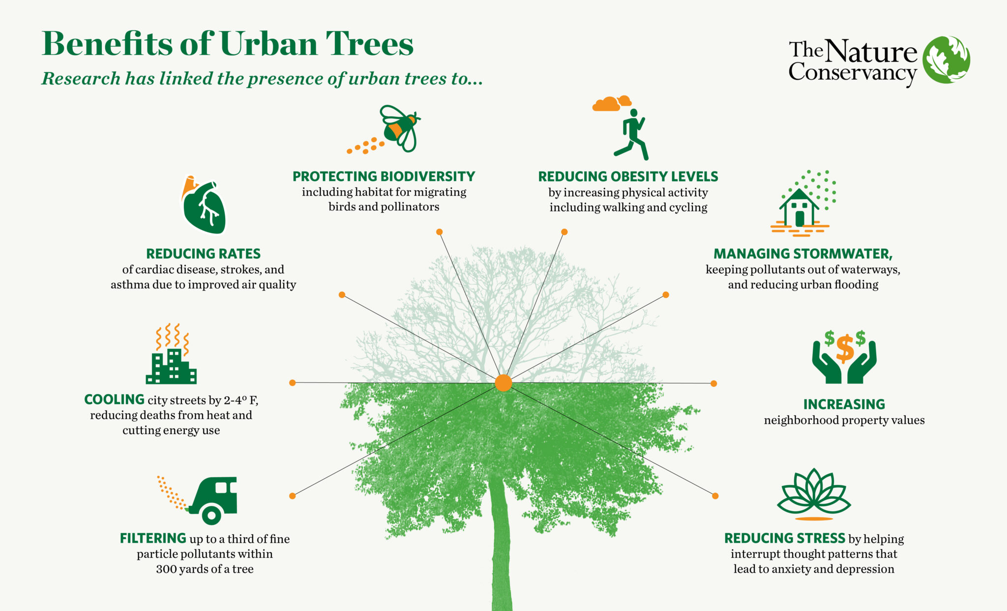 Diagram: The Benefits of Trees. Image Source: The Nature Conservancy 